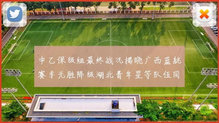中乙保级组最终战况揭晓广西蓝航赛季无胜降级湖北青年星等队伍同遭降级