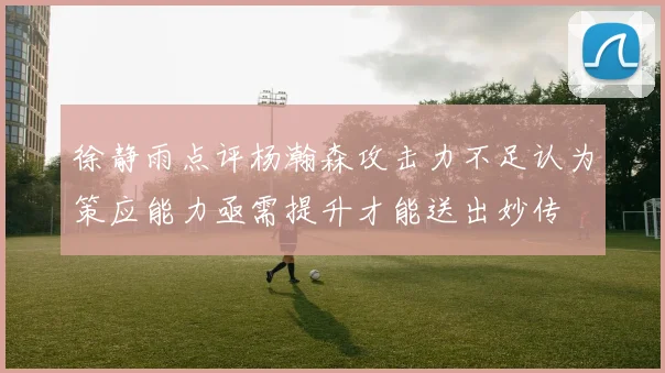 徐静雨点评杨瀚森攻击力不足认为策应能力亟需提升才能送出妙传