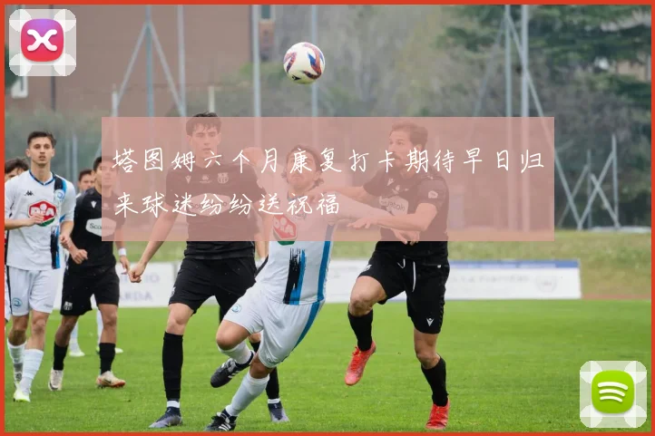 塔图姆六个月康复打卡期待早日归来球迷纷纷送祝福