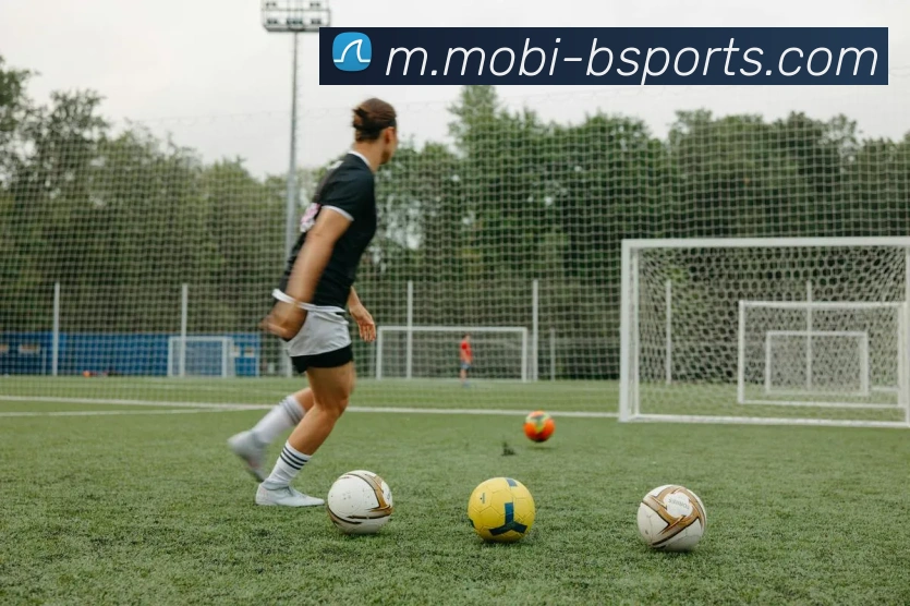 B体育平台生态图